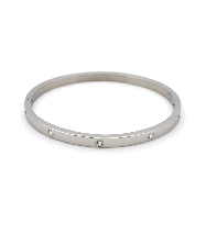 Stainless Steel Classic Rhinestone Bangle in Silver 