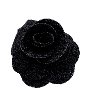 Textured Rose Hair Clip in Black
