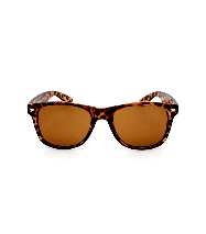 Classic Designer Sunglasses in Leopard Brown