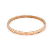 Stainless Steel Classic Rhinestone Bangle in Rose Gold 